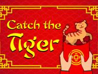 Catch The Tiger